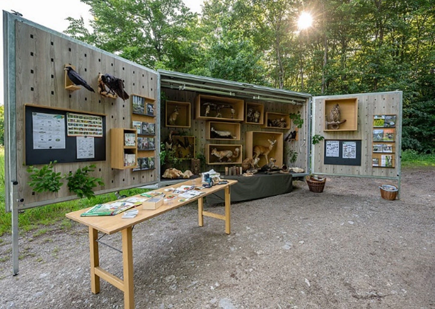 Wild Live Mobil.jpg