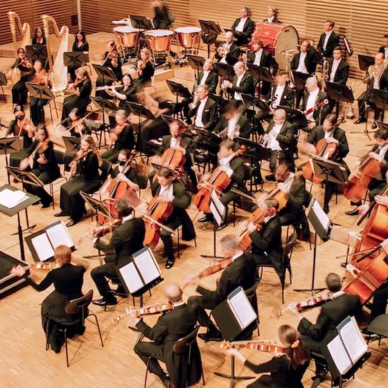 Tonkünstler-Orchester im Auditorium