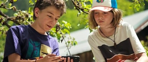 Zwei Kinder in der Natur schauen auf ein Handy