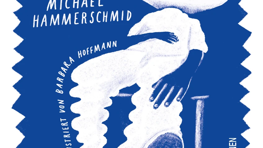 Buchcover Michael Hammerschmid "was keiner kapiert"