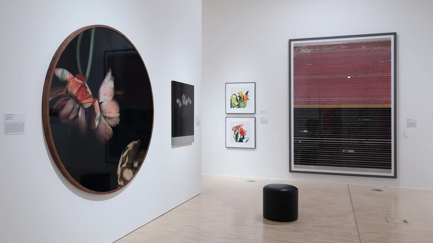 Ausstellungsansichten Flower Power