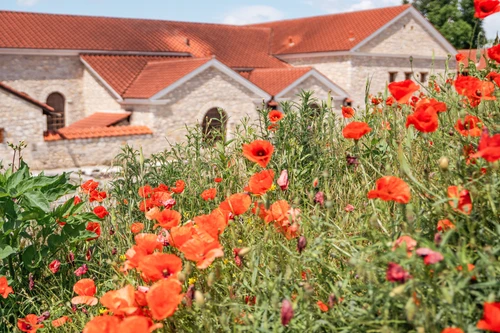 Poppies in front of the spa building