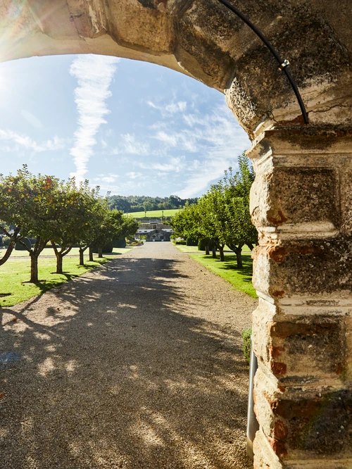 Blick durch einen steinernen Torbogen auf einen Weg mit Apfelbäumen gesäumt