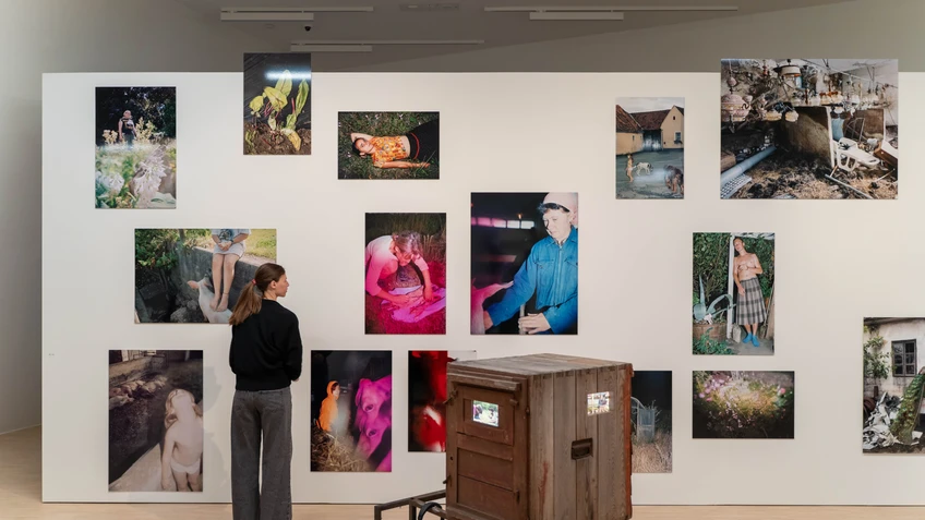 Ausstellungsansicht Iris Andraschek