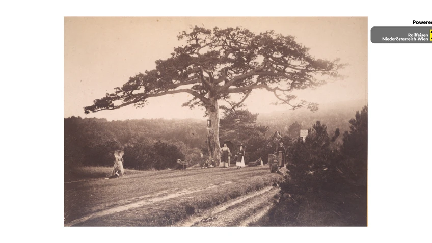 Bild zur Veranstaltung "Die Breite Föhre"
