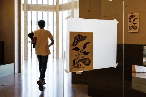 Junge läuft aus Raum. Im Vordergrund klebt eine botanische Zeichnung auf einem Backpapier an einer Glasscheibe. Im Hintergrund hängt auch eine botanische Zeichnung an einer Schnur an der Wand.