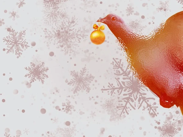 Weihnachtsabo Sujet Vogel silber