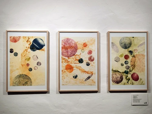 Fotos vom Verein der Freunde der Kunstmeile Krems in der Ausstellung