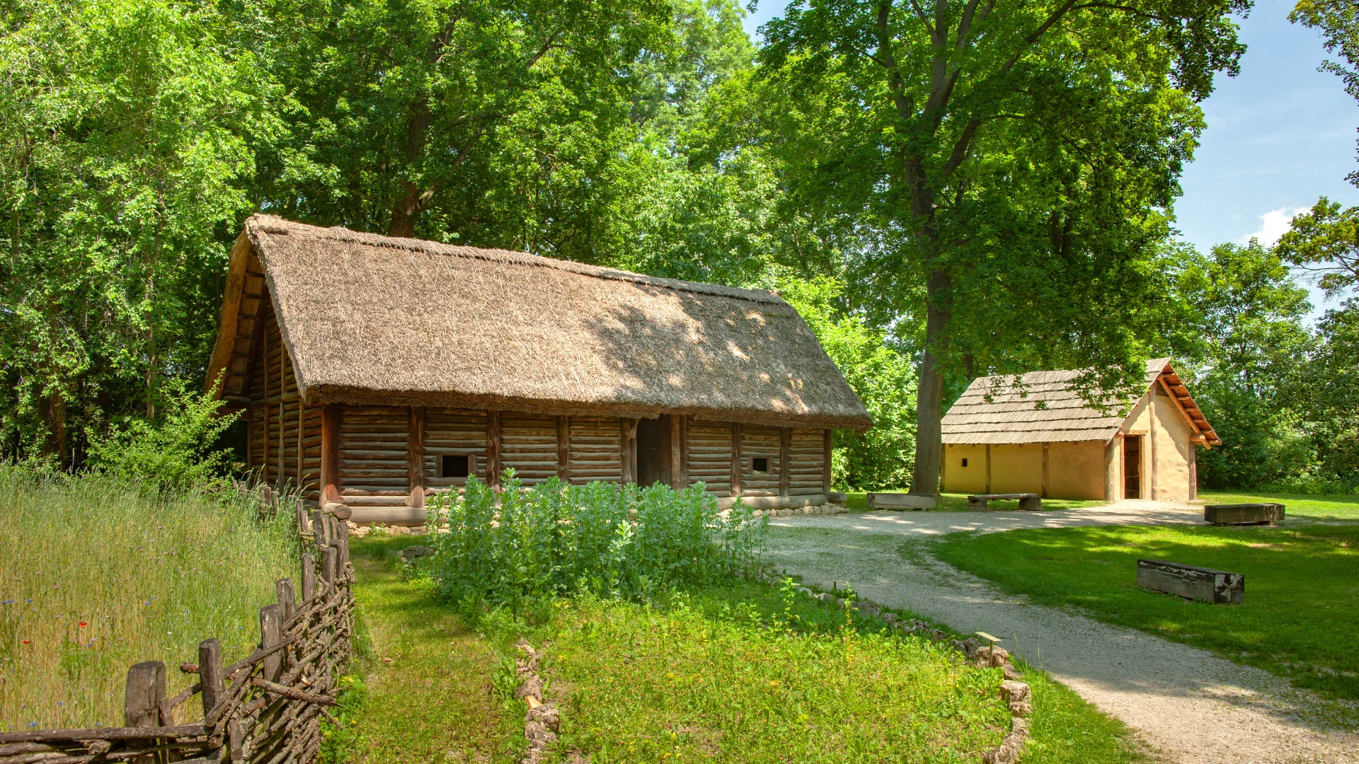 Rekonstruierte prähistorische Holzhäuser mit Strohdach in bewaldeter Museumslandschaft.