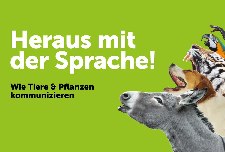 Sujet - Heraus mit der Sprache
