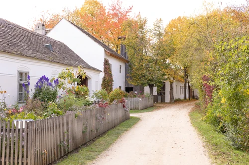 Weg mit Vorgarten und Haus