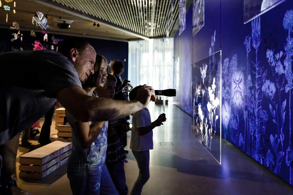 People shine torches through acrylic glass panes engraved with nature motifs. They project onto a dark blue background.