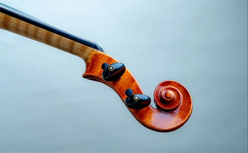 Nahaufnahme des Wirbelkastens einer Geige mit elegant geschwungenem Schneckenende vor neutralem Hintergrund.