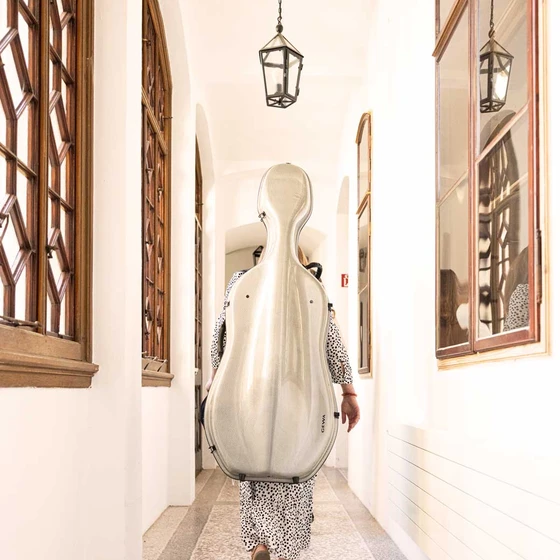 Musician at Grafenegg Castle