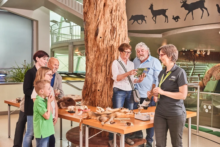 Gruppe im Museum Niederösterreich