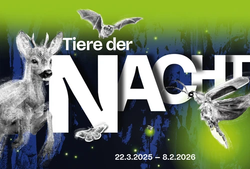 Sujet "Tiere der Nacht"