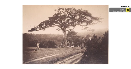 Bild zur Veranstaltung "Die Breite Föhre"
