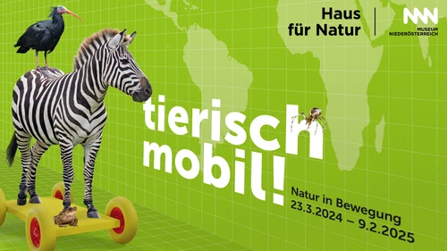 Sujet der Ausstellung "Tierisch mobil! Natur in Bewegung"