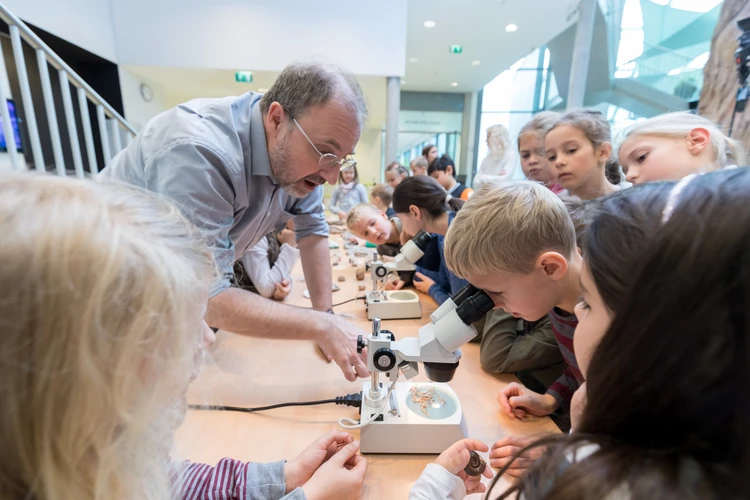 Schulklasse im Museum Niederösterreich