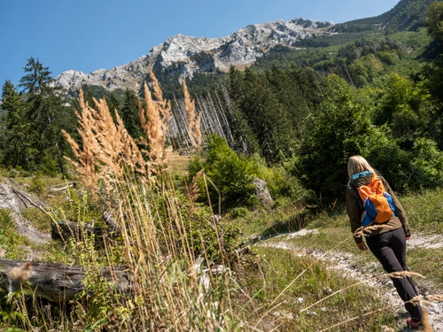 Geführte Exkursion durch das Wildnisgebiet Dürrenstein-Lassingtal, im Hintergrund ist der Gipfel des Dürrensteins zu sehen. Eine Frau wandert einen Weg entlang. 