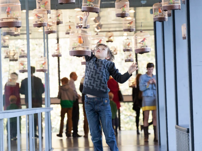 The photograph shows a child jumping up and down – various cages are hanging from the ceiling, with handmade birds sitting inside them.