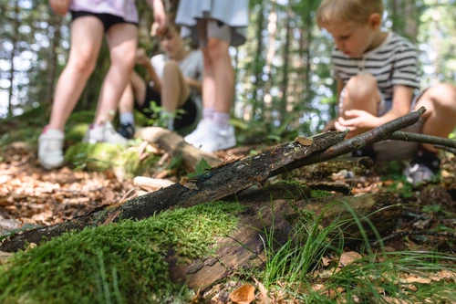 Im Vordergrund ein Stück Totholz - im Hintergrund sind Kinder, die sich mit dem Waldboden beschäftigen, zu sehen. 