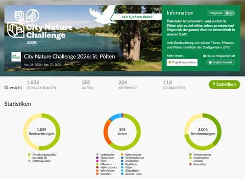 Ergebnisse der City Nature Challenge 2026 in St. Pölten 