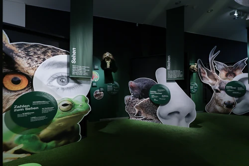Einblick in die Ausstellung "Tiere der Nacht"