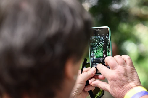 Naturkundlicher Spaziergang entlang der Traisen