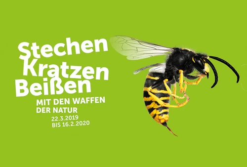 Sujet -  Stechen. Kratzen. Beißen. Mit den Waffen der Natur