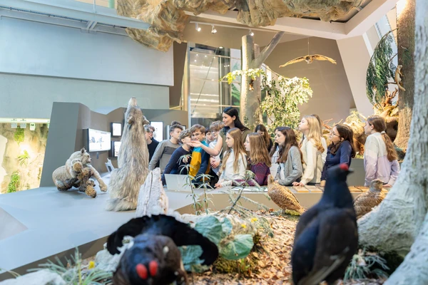 Naturvermittlung im Haus für Natur