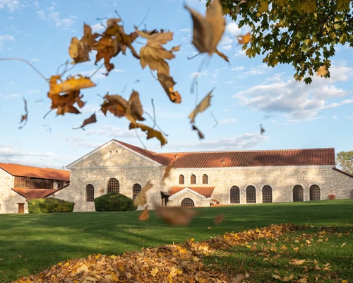 The Roman baths with falling autumn leaves in the foreground