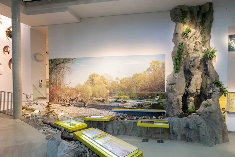 Ausstellungsansicht der Hauptausstellung im Haus für Natur