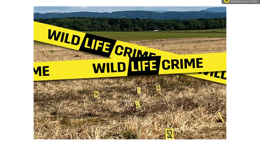 WildLIFEcrime Website
