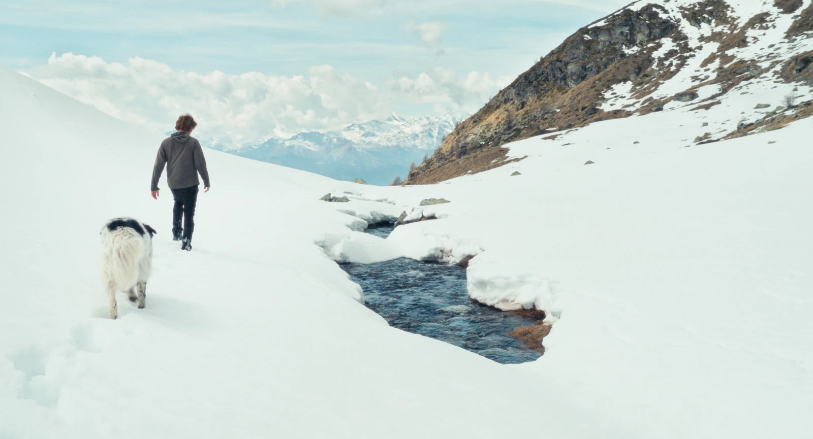 Fiore Mio_Polyfilm2.png