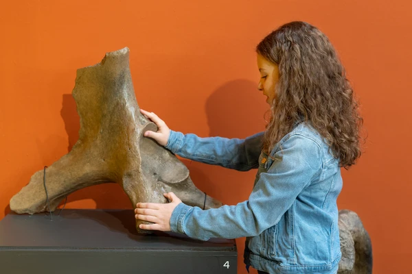 Child touches an object