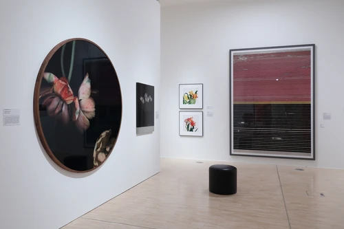 Ausstellungsansichten Flower Power