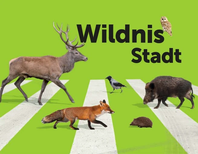 Sujet der Ausstellung "Wildnis Stadt"