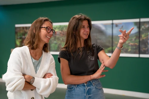 Ausstellungsansicht in Sehnsucht Wald im Karikaturmuseum Krems