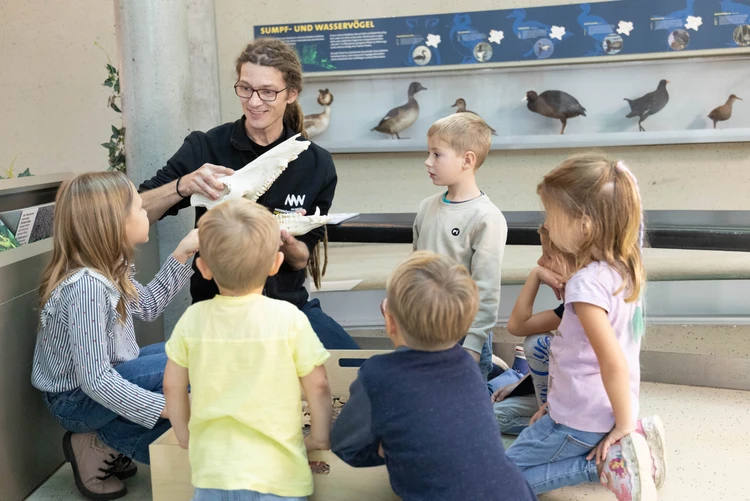 Familien- und Kulturvermittlungsangebote im Museum Niederösterreich.