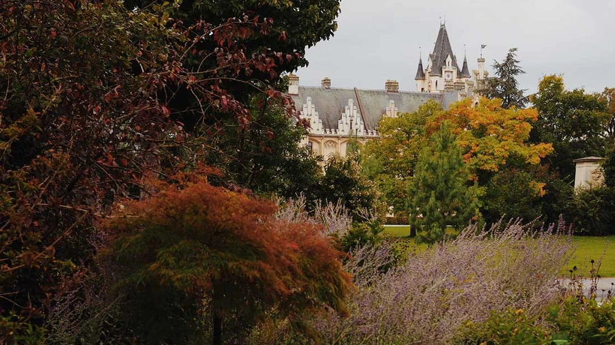 Grafenegg castle grounds 