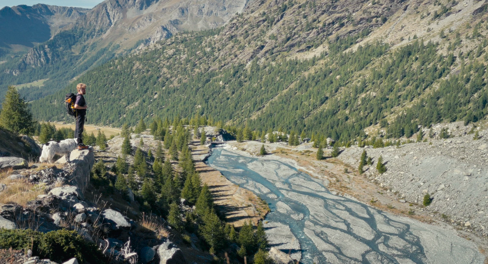 Fiore Mio_Polyfilm3.png