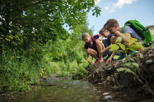 Die Kinder forschen am Ufer des Baches. 