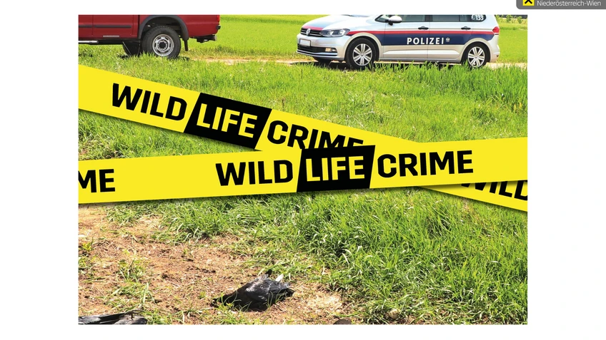 WildLifecrime 1