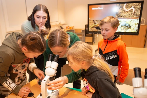 Im Rahmen des Bodenworkshops werden kleinste Bodenorganismen im Mikroskop betrachtet. Auf dem Bild sind 3 Kinder und 2 Workshopleitende zu sehen, während sie gerade durch ein Mikroskop schauen. 