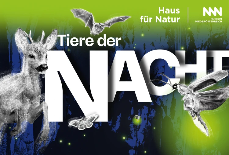 Sujet "Tiere der Nacht"