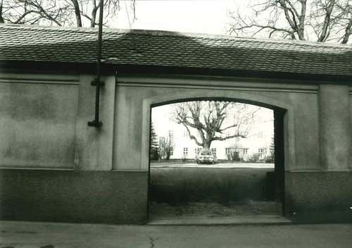 Blick in den Alumnatsgarten