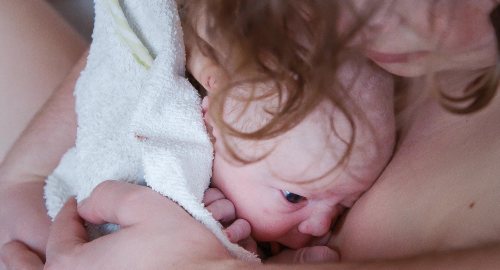 Wise Women_Polyfilm4.jpg