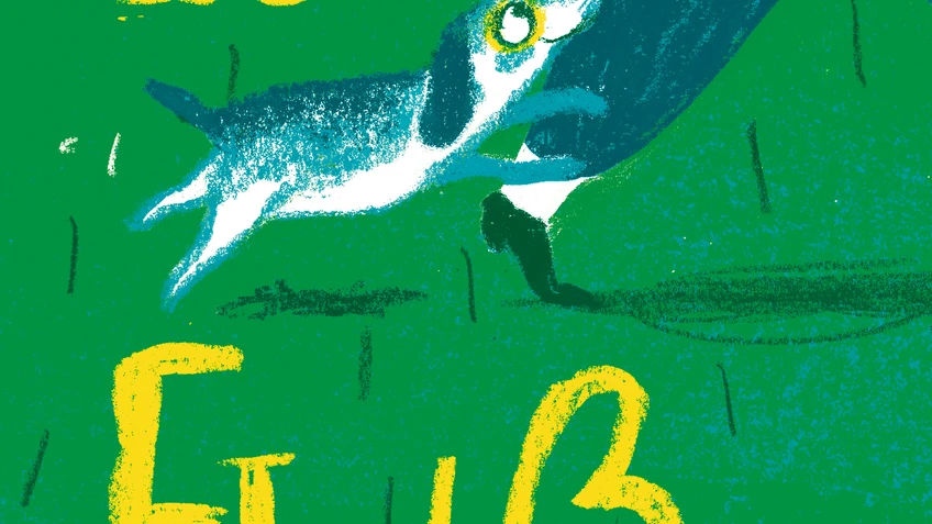Buchcover Michael Roher "Zu Fuß"