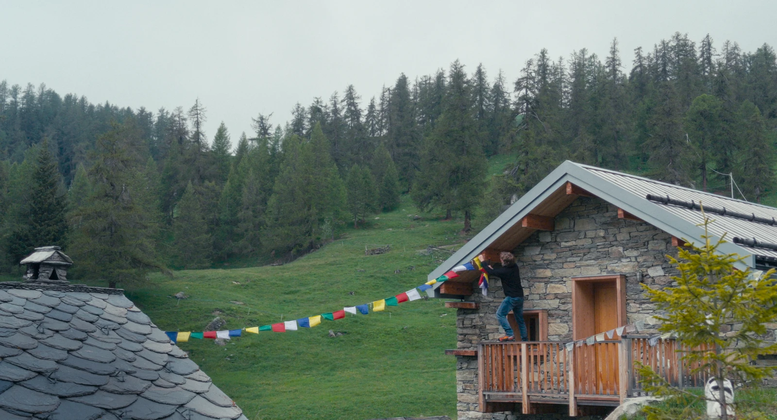 Fiore Mio_Polyfilm.png